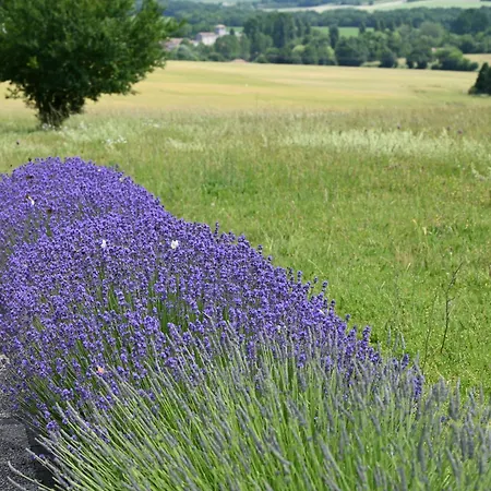 Holiday home Grange Des Bardins Villebois-Lavalette